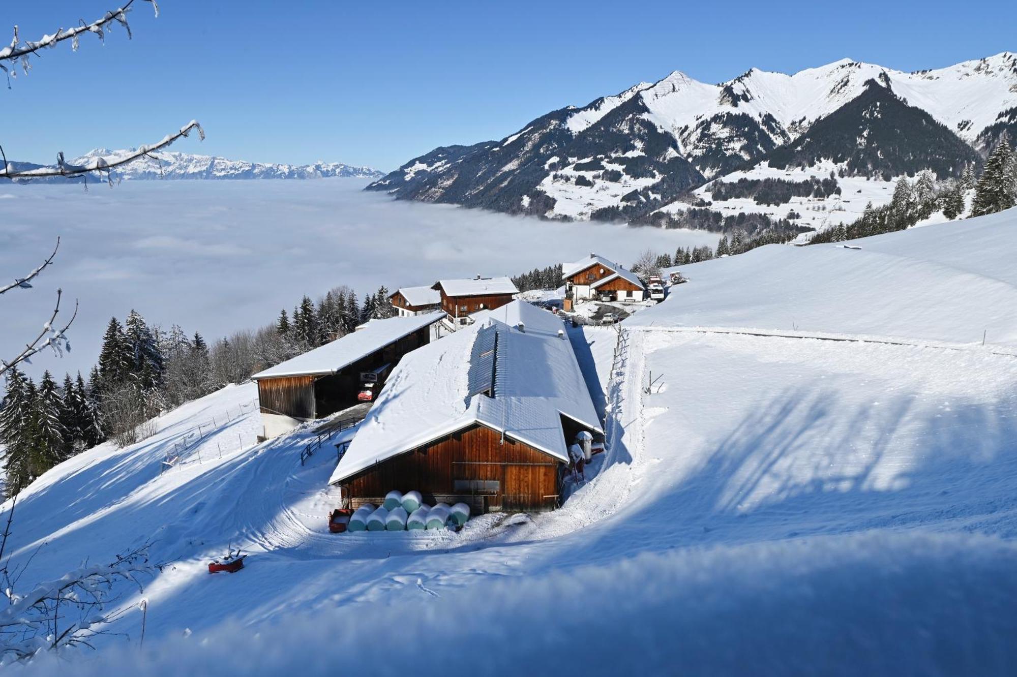 Berghof Burtscher Ludesch Екстериор снимка